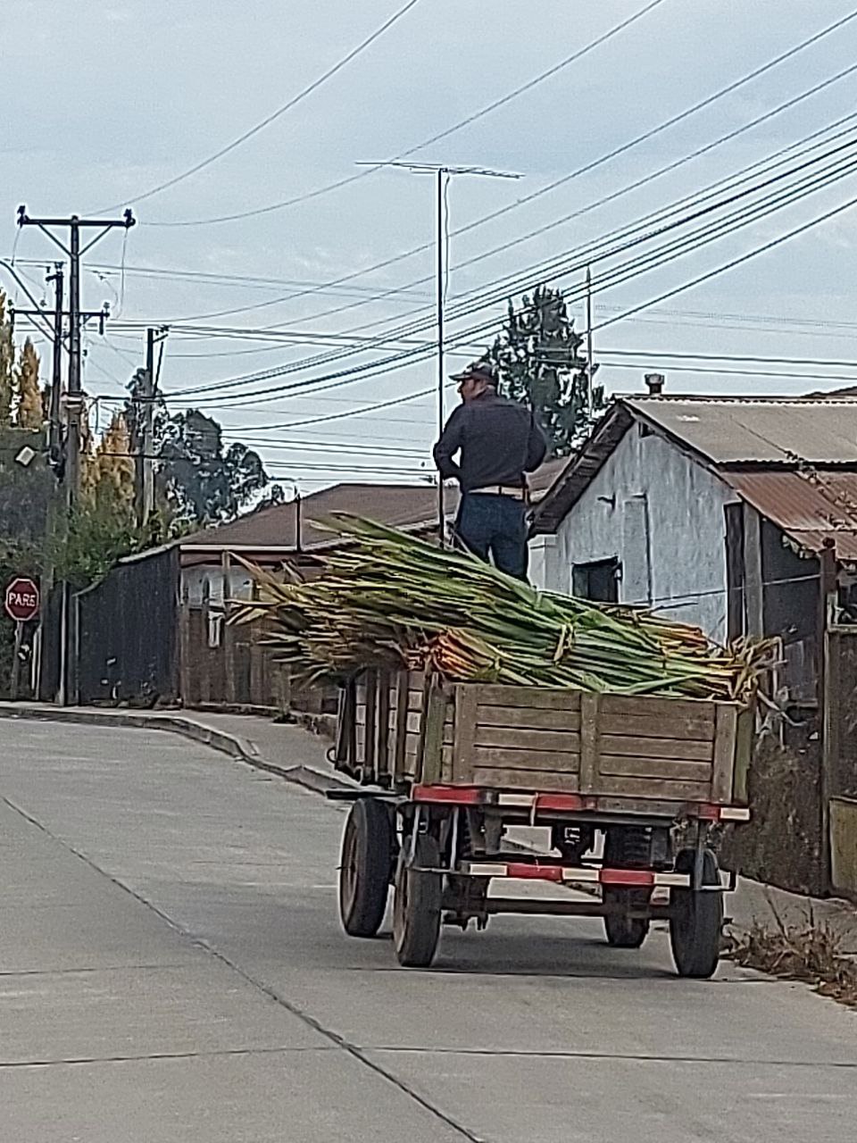 Carreta de madera usada en el trabajo de la pita